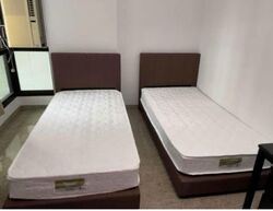 Blk 468 Segar Gardens (Bukit Panjang), HDB 5 Rooms #565633901